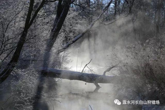 喜羊羊兄妹雪球大战3